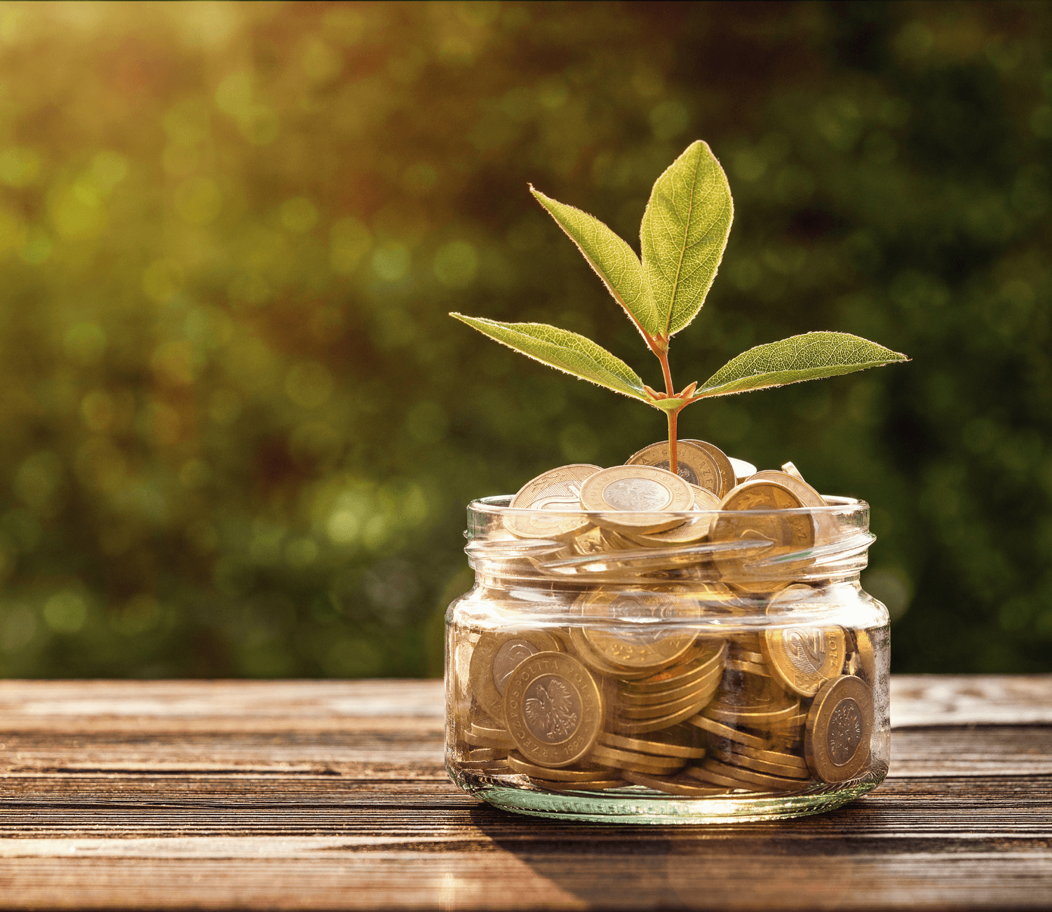 Optimized Costs & Resource Utilization